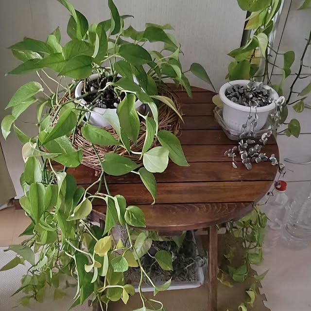 otibi.tt8787さんの実例写真