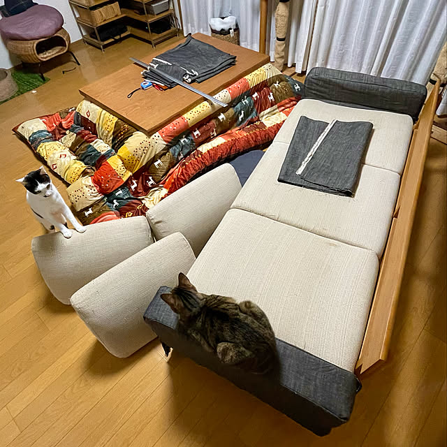 nobikoさんの実例写真