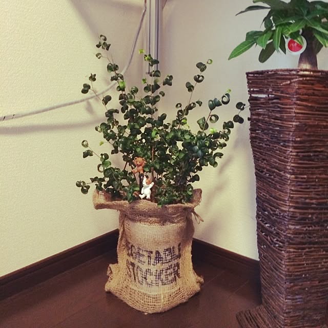 mo_koさんの実例写真