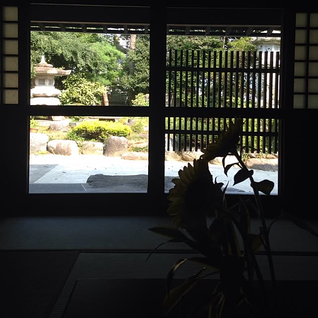 fumirinさんの実例写真