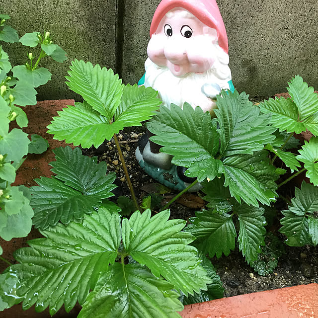 richanさんの実例写真
