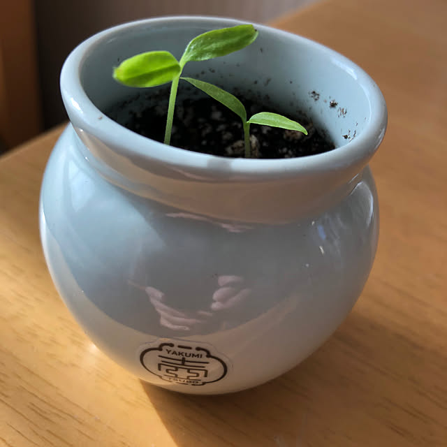 satoさんの部屋