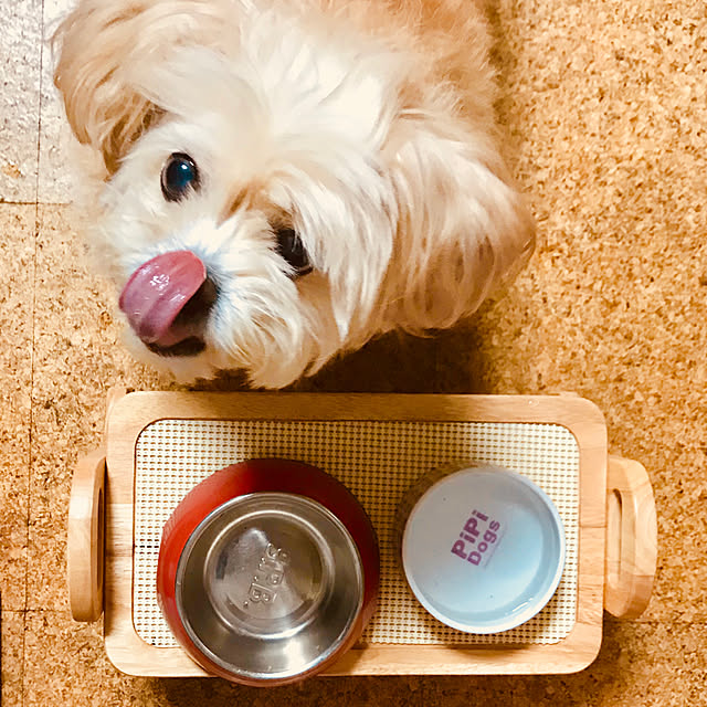 ECOさんの実例写真
