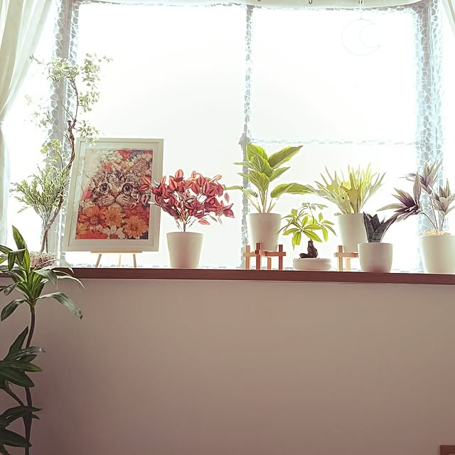 acocoさんの実例写真