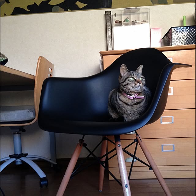 Kokokoさんの実例写真