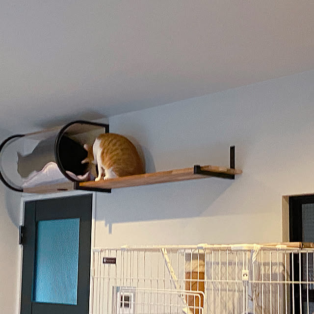 mochicoさんの部屋