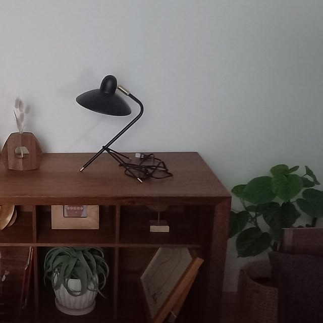 cocosuke117さんの部屋