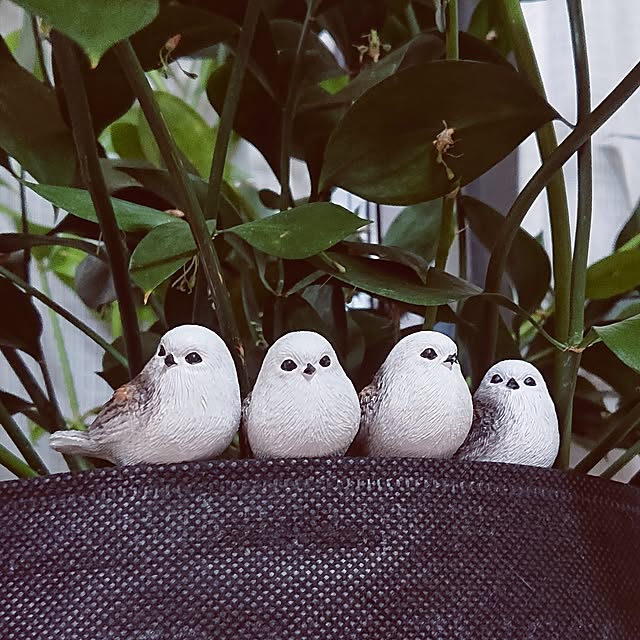 NOAHさんの部屋