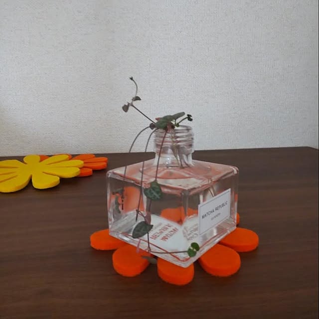 ampinさんの実例写真