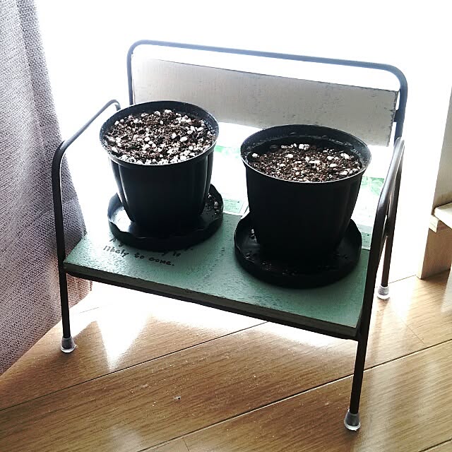 akiikaさんの実例写真