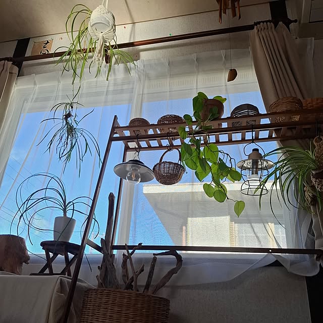 midoriさんの部屋