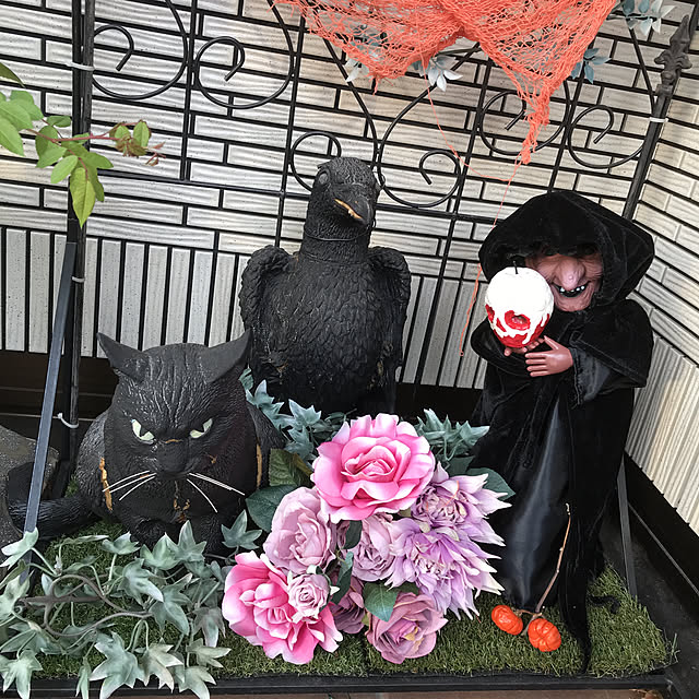nonさんの実例写真