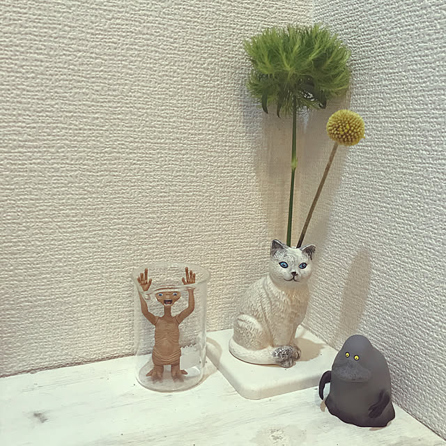 Hotateさんの実例写真