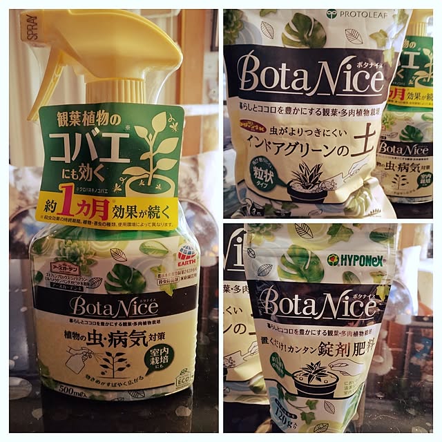 runaさんの部屋