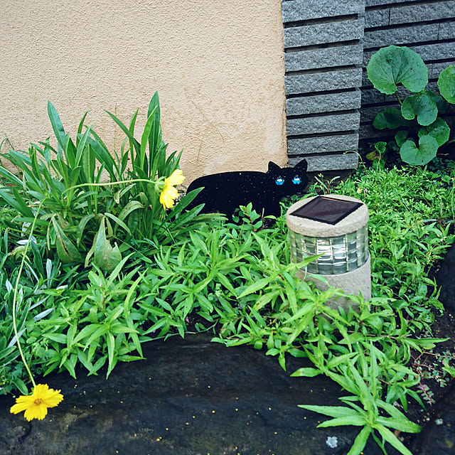 uchizukonyanさんの実例写真