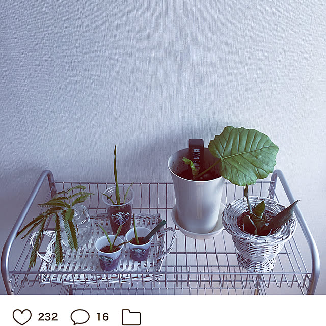 HKSさんの実例写真