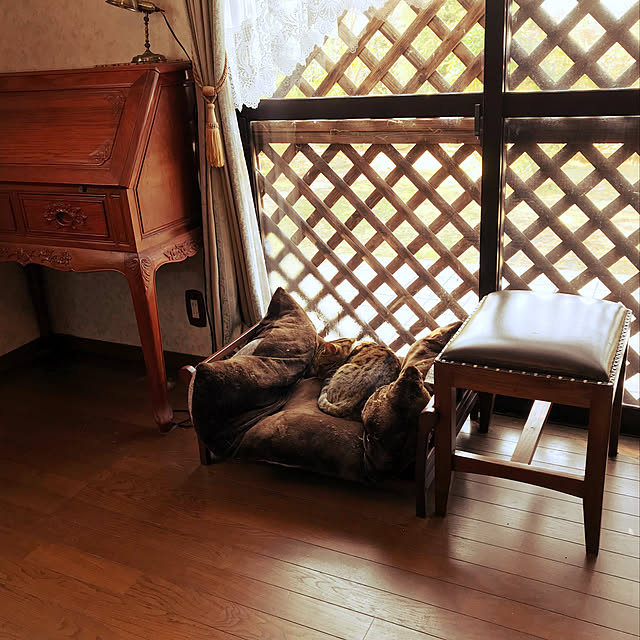 earlgrey.flさんの実例写真