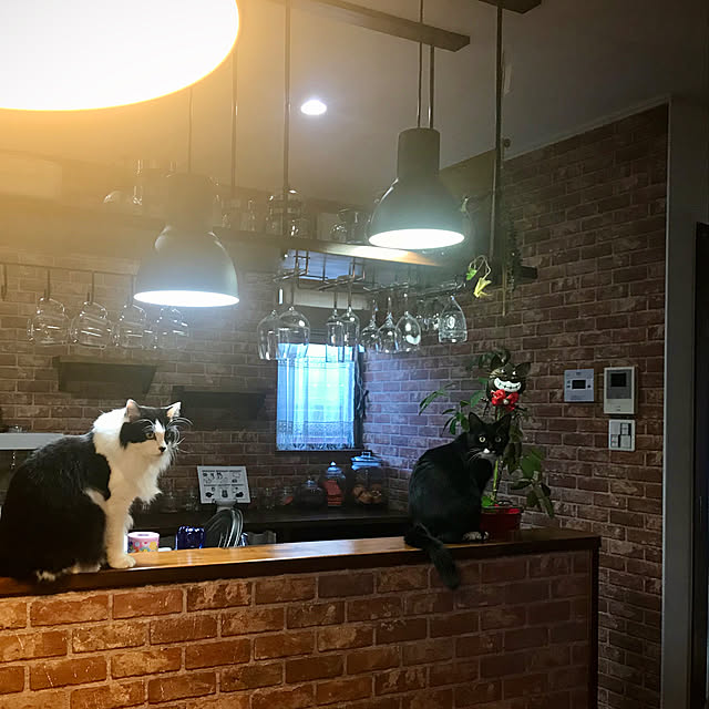 butachanさんの実例写真