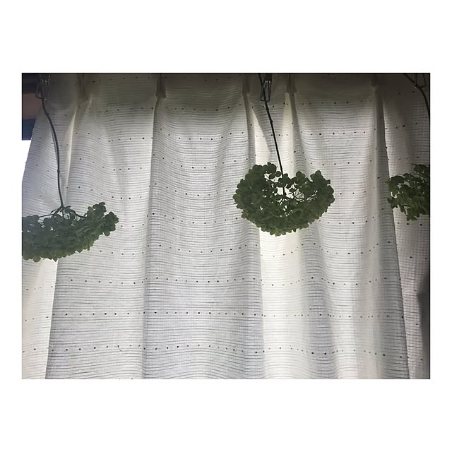 miho.さんの実例写真