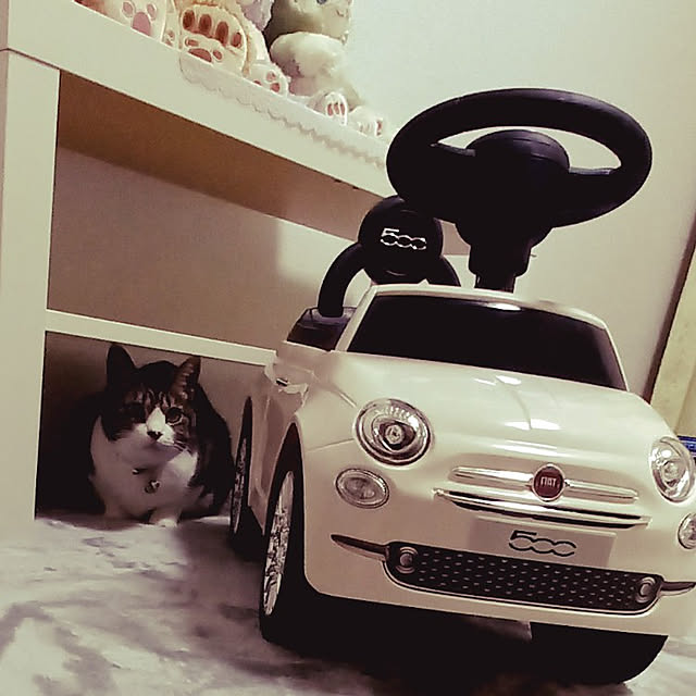 civicglさんの実例写真