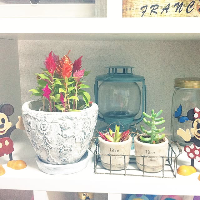 coco.mさんの実例写真