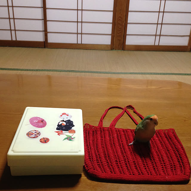 aoinokimiさんの実例写真