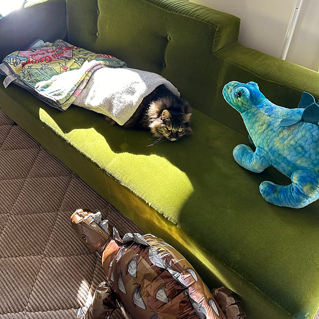 mikomaruさんの部屋