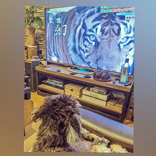 GINさんの実例写真