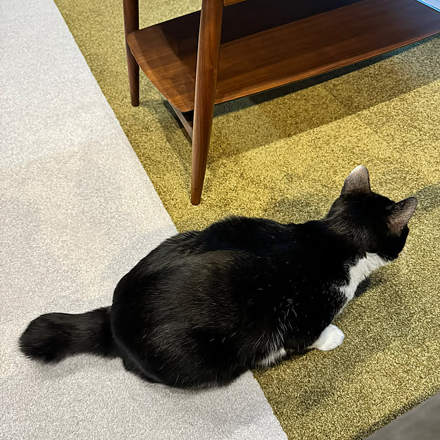 porinさんの部屋