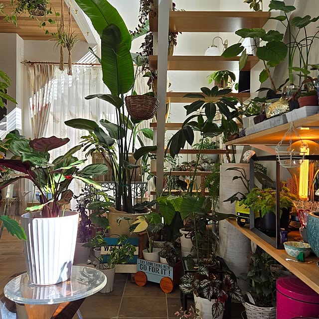 nonbiri_house_さんの実例写真