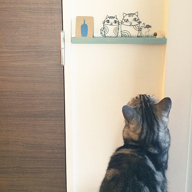 mikomaruさんの実例写真