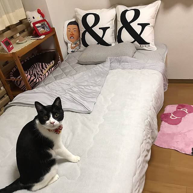 TAMAさんの実例写真