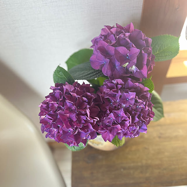 rookuさんの部屋