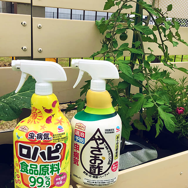 tomoさんの部屋