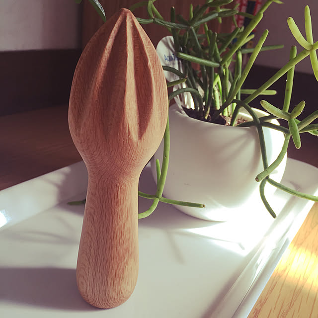 spicemasterさんの実例写真