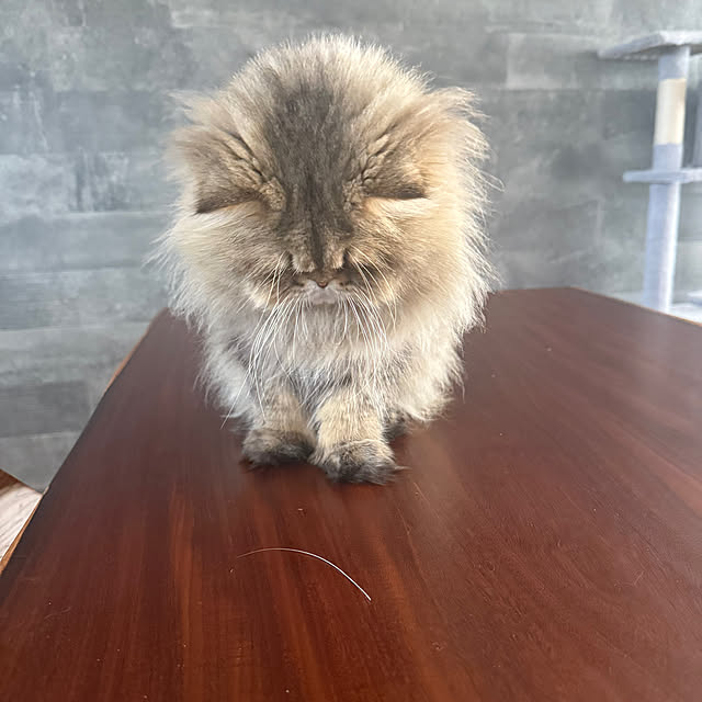 Mokunaさんの実例写真