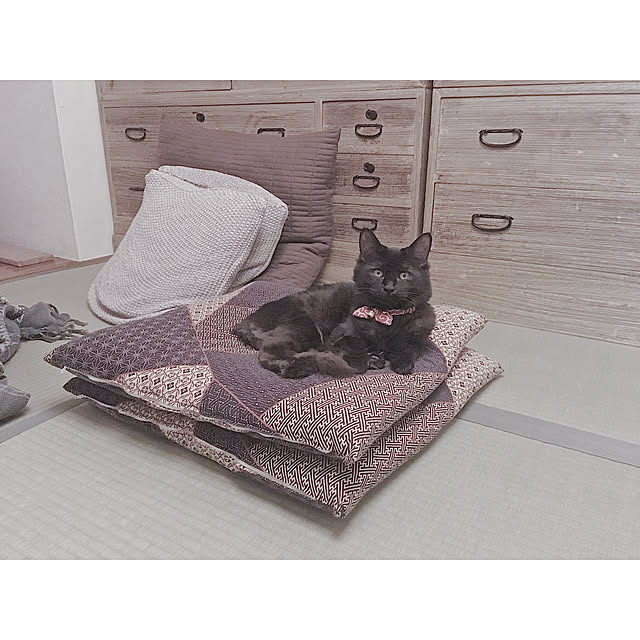 SHIOKONBUさんの実例写真