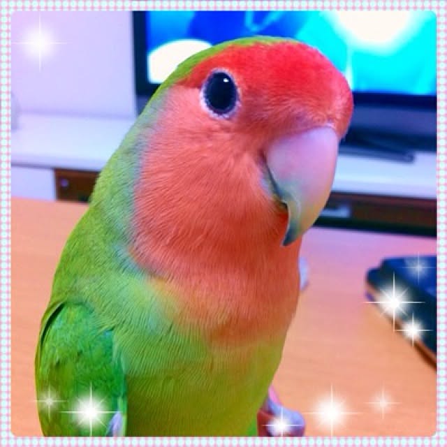 madokaさんの実例写真