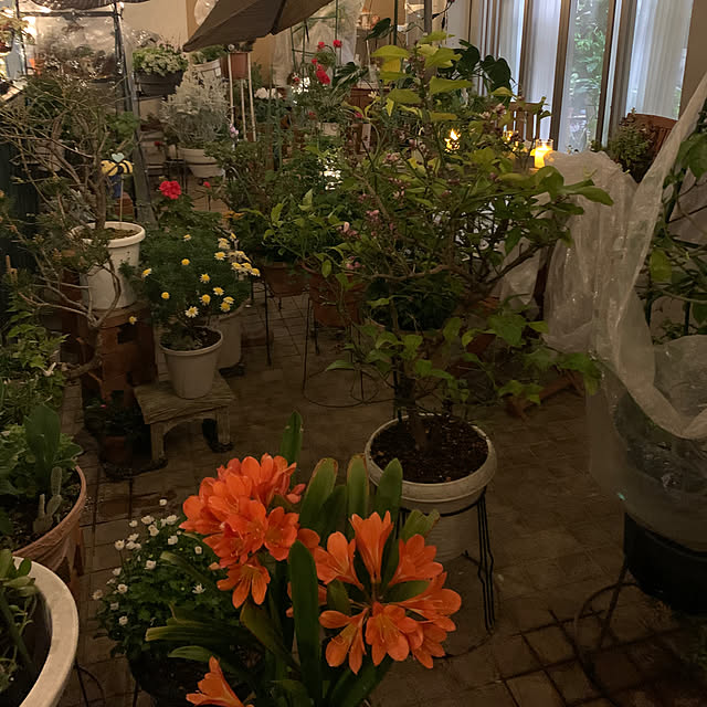 Aqettyさんの部屋