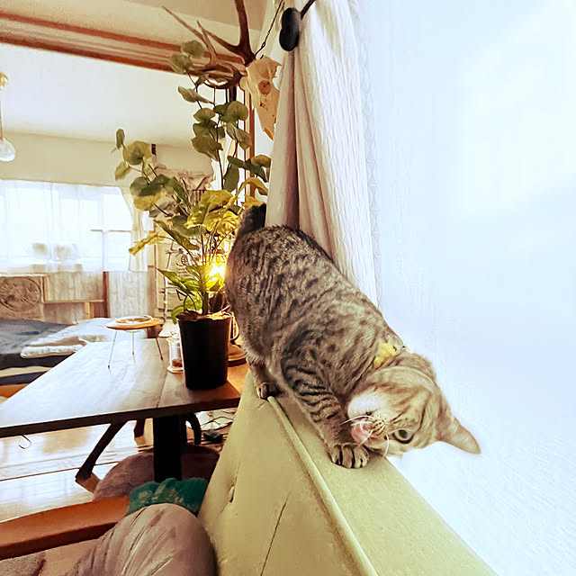 Mさんの実例写真