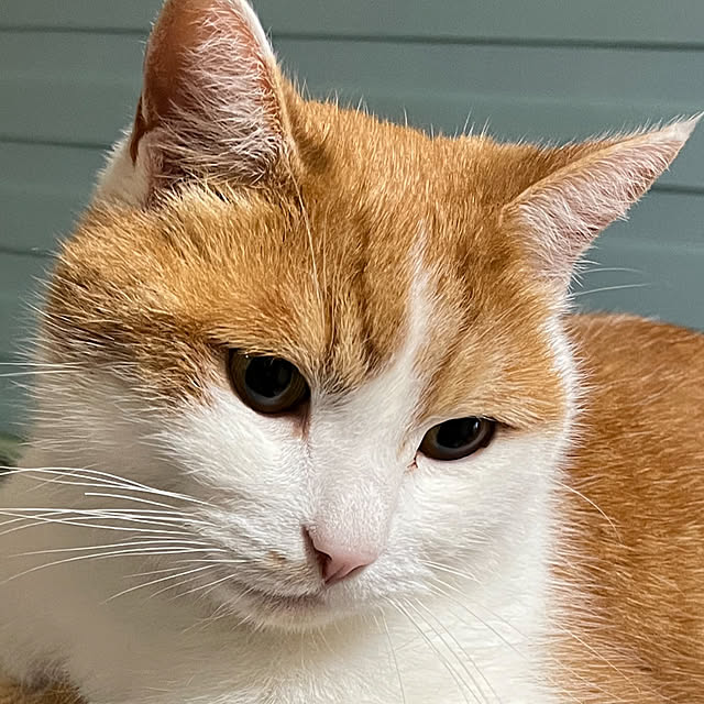 Toyomiさんの部屋