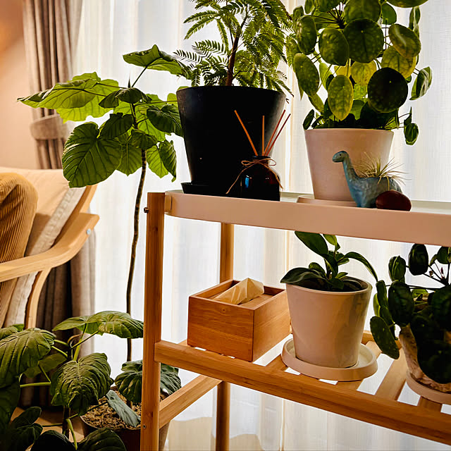 kurinokiさんの実例写真