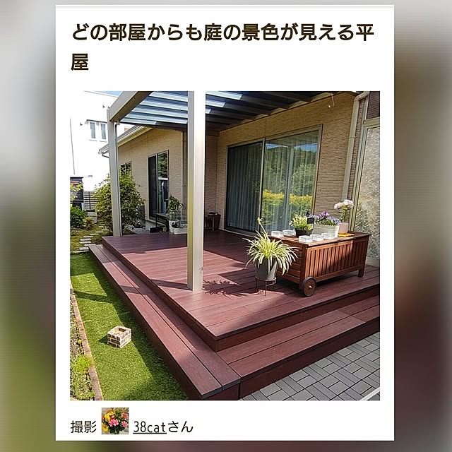 38catさんの実例写真