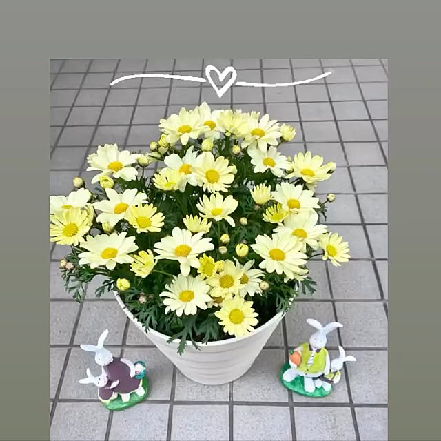 YuuKoさんの実例写真