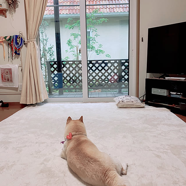 skyさんの実例写真