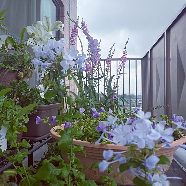 NOAHさんの部屋