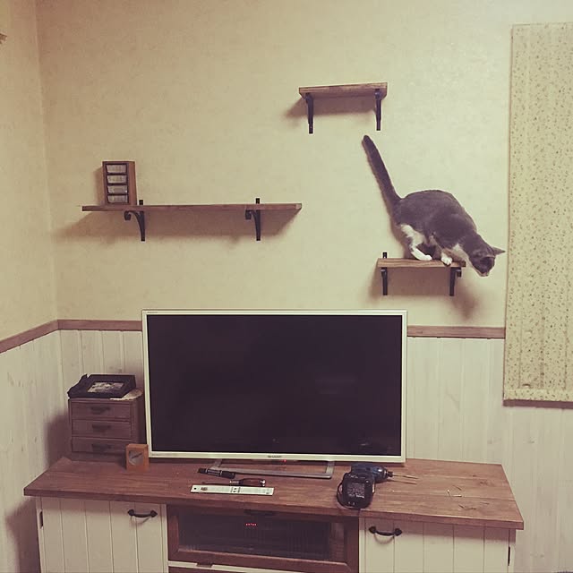 u35さんの実例写真