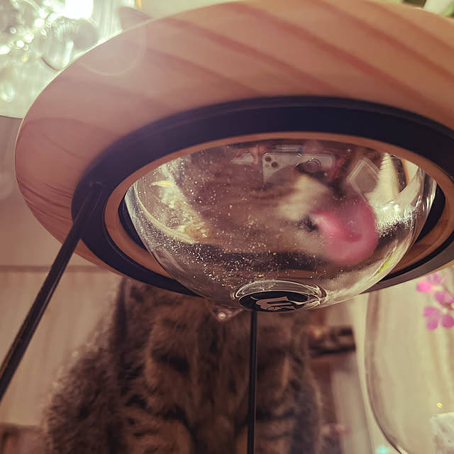 Mさんの実例写真