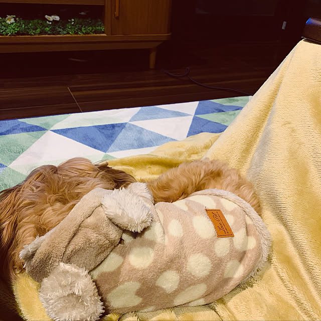 nao703さんの実例写真