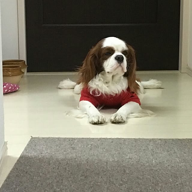 korikingさんの実例写真